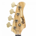 Cort elektromos basszusgitár, Jeff Berlin Signature modell