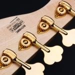 Cort elektromos basszusgitár, Jeff Berlin Signature modell