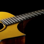 Cort akusztikus gitár, Frank Gambale  Signature