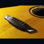 Cort akusztikus gitár, Frank Gambale  Signature