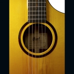 Cort akusztikus gitár, Frank Gambale  Signature