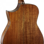 Cort akusztikus gitár, Frank Gambale  Signature