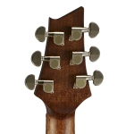 Cort akusztikus gitár, Frank Gambale  Signature