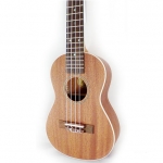 Peavey Student concert ukulele - ÁRZUHANÁS