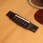 Cort akusztikus gitár Fishman elektronikával, félkemény tokkal, All solid