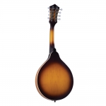 Recording King A-style mandolin, Tobacco Burst