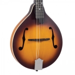 Recording King A-style mandolin, Tobacco Burst