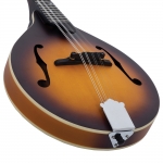 Recording King A-style mandolin, Tobacco Burst