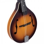 Recording King A-style mandolin, Tobacco Burst