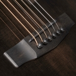 Cort akusztikus gitár Fishman elektronikával, keménytokkal