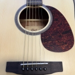 Cort akusztikus gitár, matt natúr