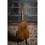 Cort akusztikus gitár Fishman elektronikával, félkemény tokkal, Bocote, All solid