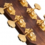 Cort akusztikus gitár Fishman elektronikával, félkemény tokkal, Bocote, All solid