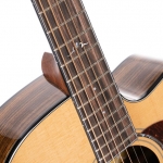 Cort akusztikus gitár Fishman elektronikával, félkemény tokkal, Bocote, All solid