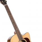 Cort akusztikus gitár Fishman elektronikával, félkemény tokkal, Bocote, All solid