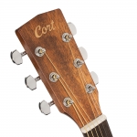 Cort akusztikus gitár, fényes natúr