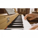 Donner OURA R300 digitális zongora, Donner design, súlyozott, fokozatos kalapácsmechanikás, 88 billentyű, világos faerezet