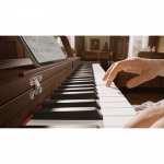 Donner OURA R300 digitális zongora, Donner design, súlyozott, fokozatos kalapácsmechanikás, 88 billentyű, dió